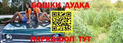 индика Ликино-Дулёво