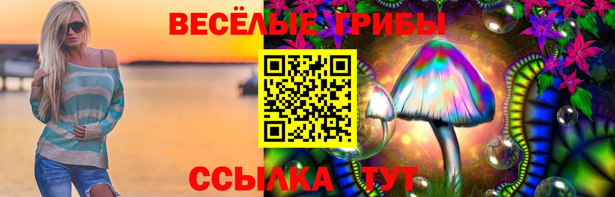Галлюциногенные грибы мухоморы Грязи
